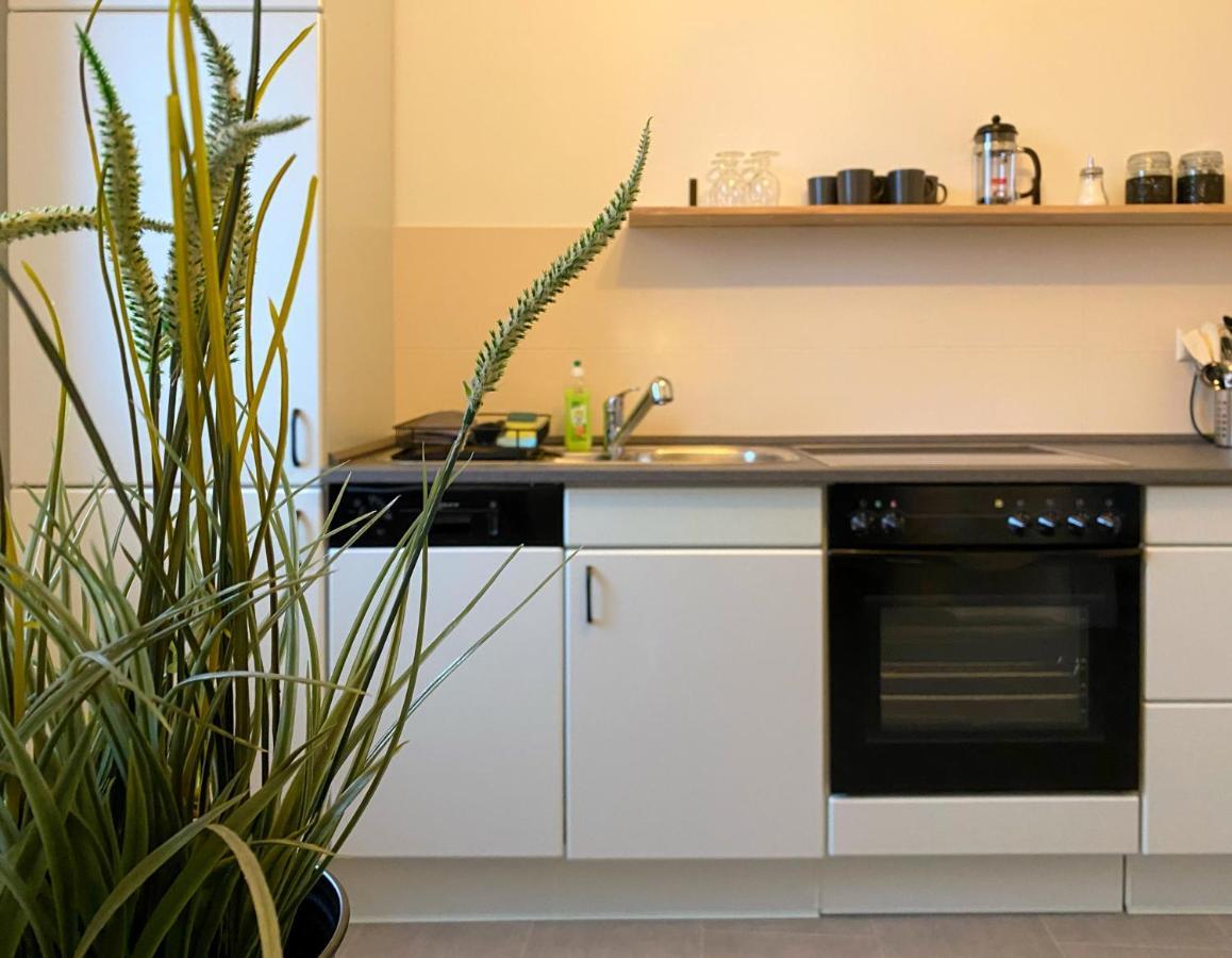 Elbnahe Ferienwohnung Mit 2 Schlafzimmern Coswig  Εξωτερικό φωτογραφία